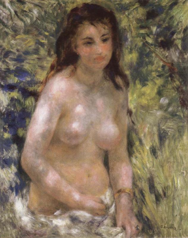 Nude in the Sunlight, Pierre-Auguste Renoir